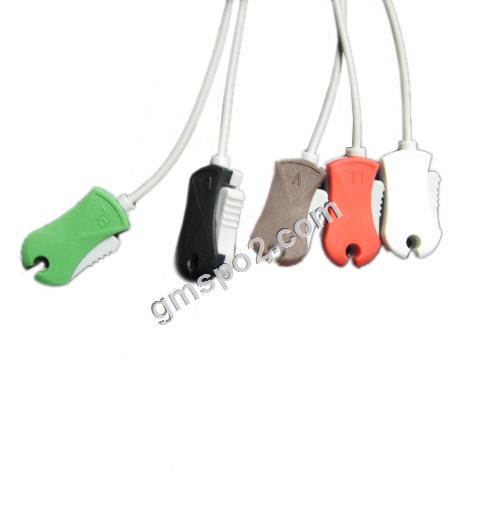 5-LEAD mantrausis AHA-.jpg