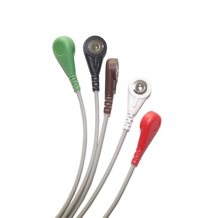 GE SEER Light Holter Patient Cable/Leadwires, 2 Channel (5-Ld), AHA